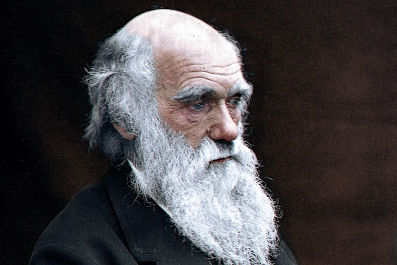 Charles Darwin (fonte: Julius Jääskeläinen) -     RIPRODUZIONE RISERVATA