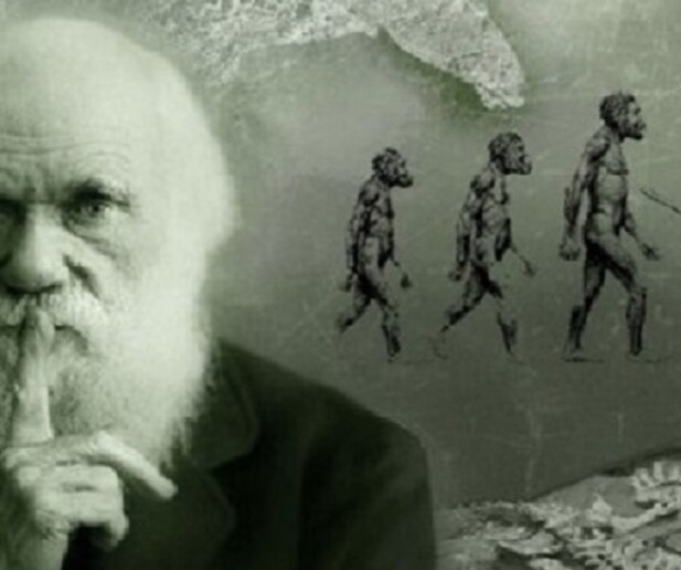 Il 12 febbraio è la Giornata dedicata a Charles Darwin, padre della teoria dell 'evoluzione (fonte: Tim Bryant, da Wikipedia) -     RIPRODUZIONE RISERVATA